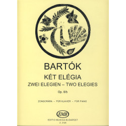 Bartok Elegías